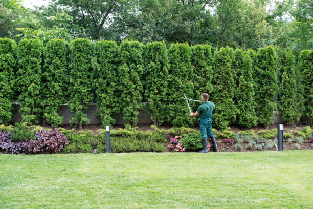 Lawn Maintenance Plans in Oswego, IL